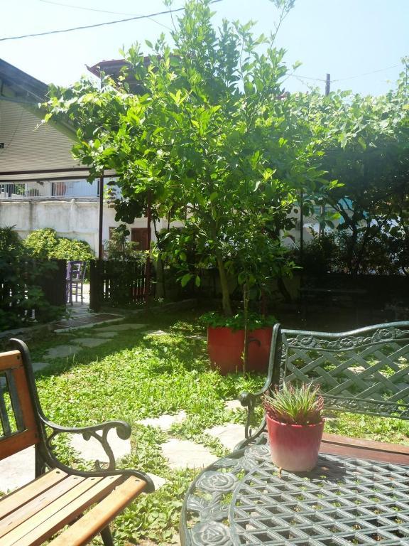 פראליה פנטליימונוס Helena Apartments מראה חיצוני תמונה