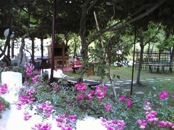 פראליה פנטליימונוס Helena Apartments מראה חיצוני תמונה